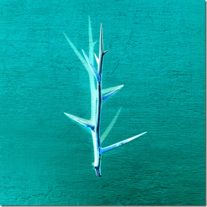 Florence Notté, Vanité 14, Limited Edition "Memento Mori"